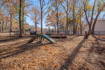 Dog park with agility equipment